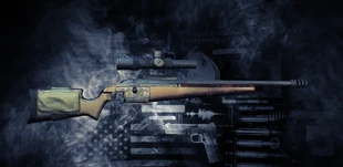R93 Luxus.jpg (258 КБ) Blaser R93 Luxus