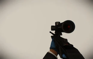 Blaser animation.jpg (87 КБ) Вид в игре