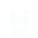 Тарантул (ориг. Tarantula) Размеры семиногих тарантулов варьируется от маленьких, как ноготок, до больших, как ружье, если их лапы полностью расправлены. Название «тарантул» происходит от латинского Lycosa tarantul (паук-волк). Как правило, тарантулы ищут свою добычу в деревьях или рядом с ними, на земле. А еще они могут быть милыми домашними животными. ПРЕДМЕТ ИЗ НАБОРА GAGE SNIPER PACK! Открывается за достижение