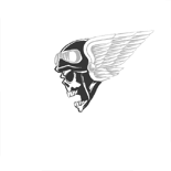 Череп и крылья (ориг. Skull Wing) Открывается за достижение