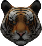 Panthera Tigris full