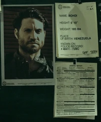 Bodhi2