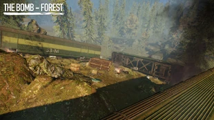 TB-forest.jpg (734 КБ)