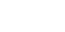 Engraved Bernetti Grips