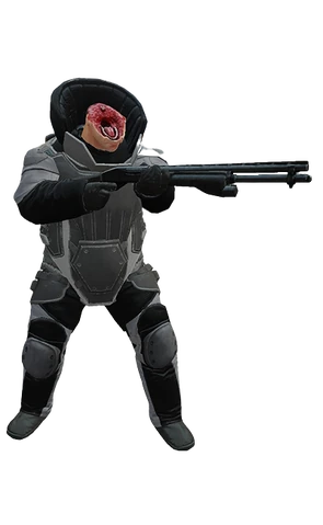 HSDOZER