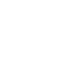 The Judge