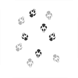 Pattern-coyote.png (10 KB) Coyote Unlocked through Achievement