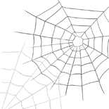 Pat-webbed.png (66 KB) Webbed $123,000