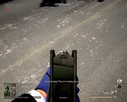 The Mark 11 iron sighted.