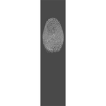 Pat-fingerprint