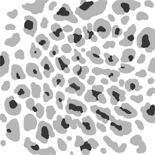 Pattern-leopard.png (48 KB) Leopard Requires ownership of Hotline Miami on Steam.