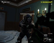 A Mexican Skulldozer