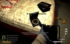 The necklace on Mitchell's bed