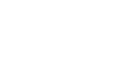 Stainless Steel Syringe