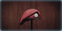Historiographer :"Aldstone's very proud of acquisition of the four masks, particularly this blood red beret." :—Trophy description UNLOCK CONDITION: Unlock all four of the RAID character masks. PLACEMENT: Aldstone's Quarters.