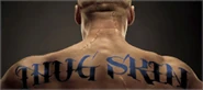 Thick skin upgrade.png (97 KB) Thick skin