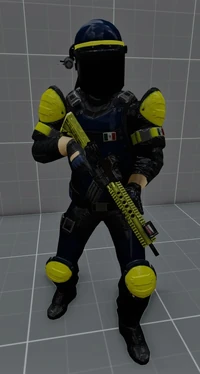 Policía Federal Taser