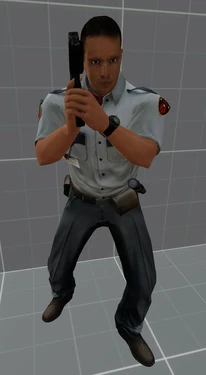 Regular guard (security)