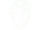 Mask-techlion.png