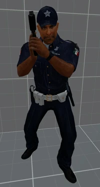 San Martín municipal police (policia)