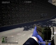 Player holding the "Heatshielded" Mark 11.