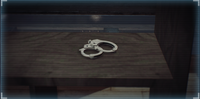 Tied Up :"The cops aren't issued cable ties so they're forced to use these strange contraptions instead. You picked these ones up on Green Bridge." :—Trophy description UNLOCK CONDITION: Find at least four out of the six pairs of handcuffs in the Green Bridge heist. PLACEMENT: The living room.