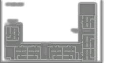 1st Floor Layout