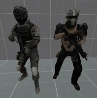 Z-commons.jpg (132 KB) ZEAL common units