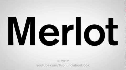 How to Pronounce Merlot