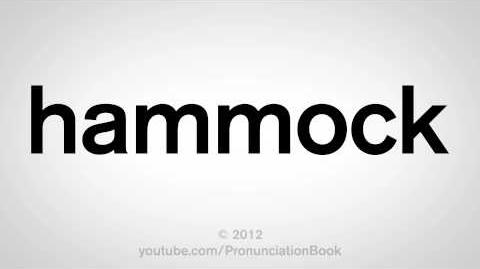 How to Pronounce Hammock