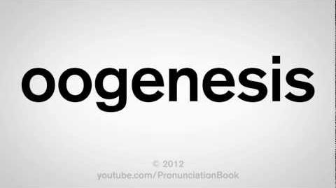 How to Pronounce Oogenesis