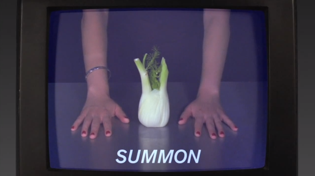 Fennel.png