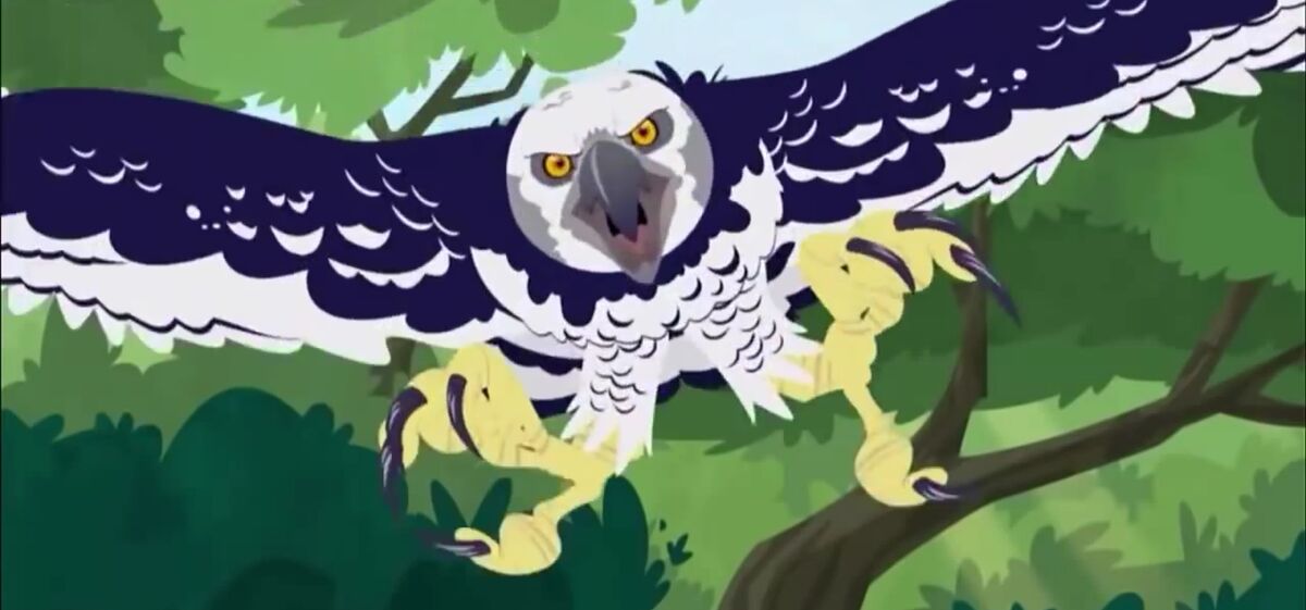 Harpy Eagle/ Gallery | PBS Kids Animals Wiki | Fandom