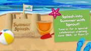 Summer Splash