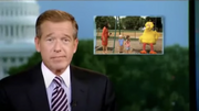 Brian Williams