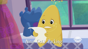 NinaPacking