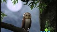 "Stupid bird!" was partially muted in the Sprout airing of "Haunted Henry"