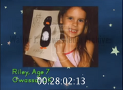 Penguins11