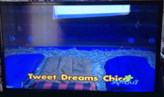TweetDreams