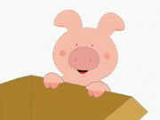 Arnold