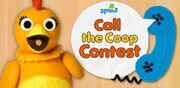 Call into Coop
