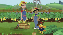 FarmerChica
