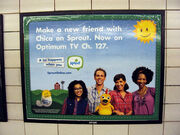 Sunny Side Up Show poster