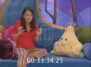 Pengunis13