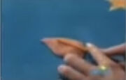 ClayLeaves