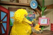 Big Bird and Chica.