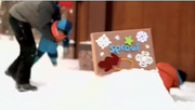 Snow box