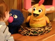Grover with Chica.