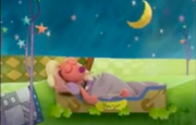 Banjo sleeping
