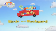 BirdsTitleCard